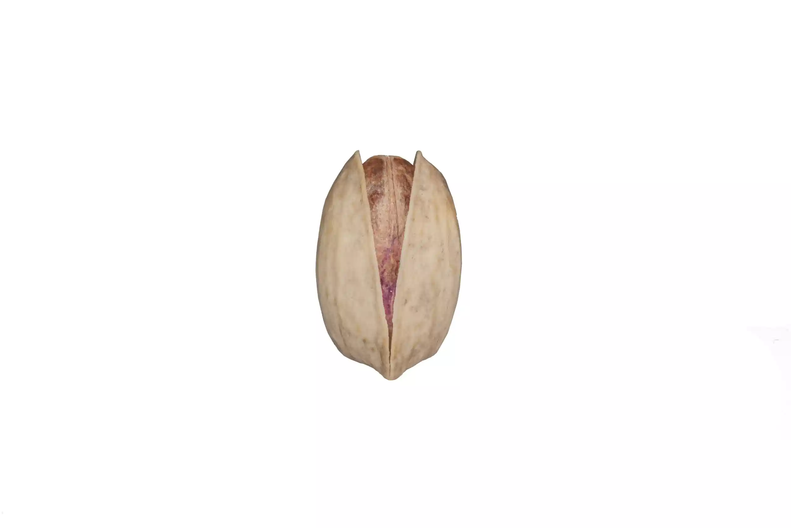 Akbari Pistachio size and shape