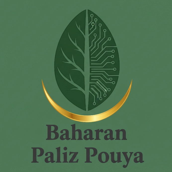 logo for Baharan Paliz pouya, NBG subbranch