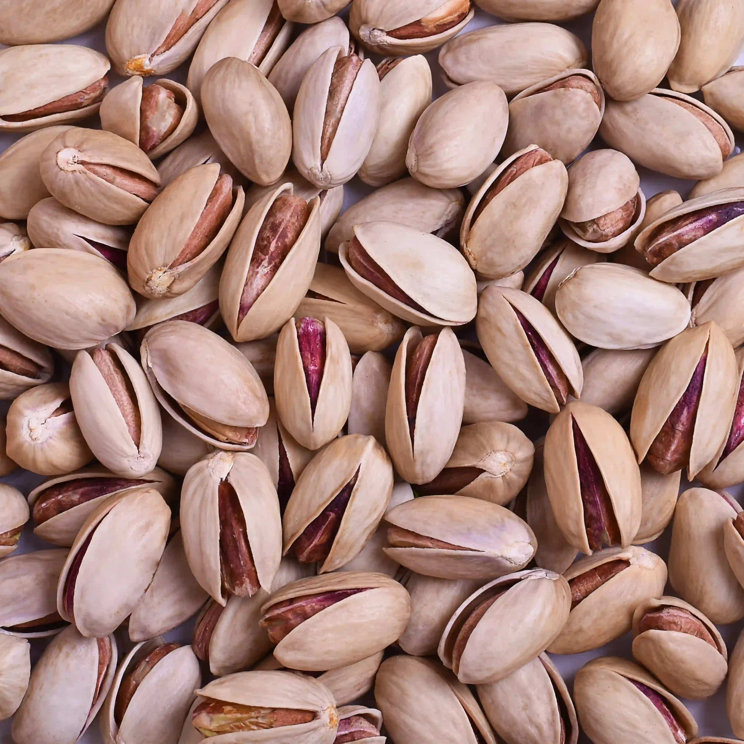 Persian Pistachio Look