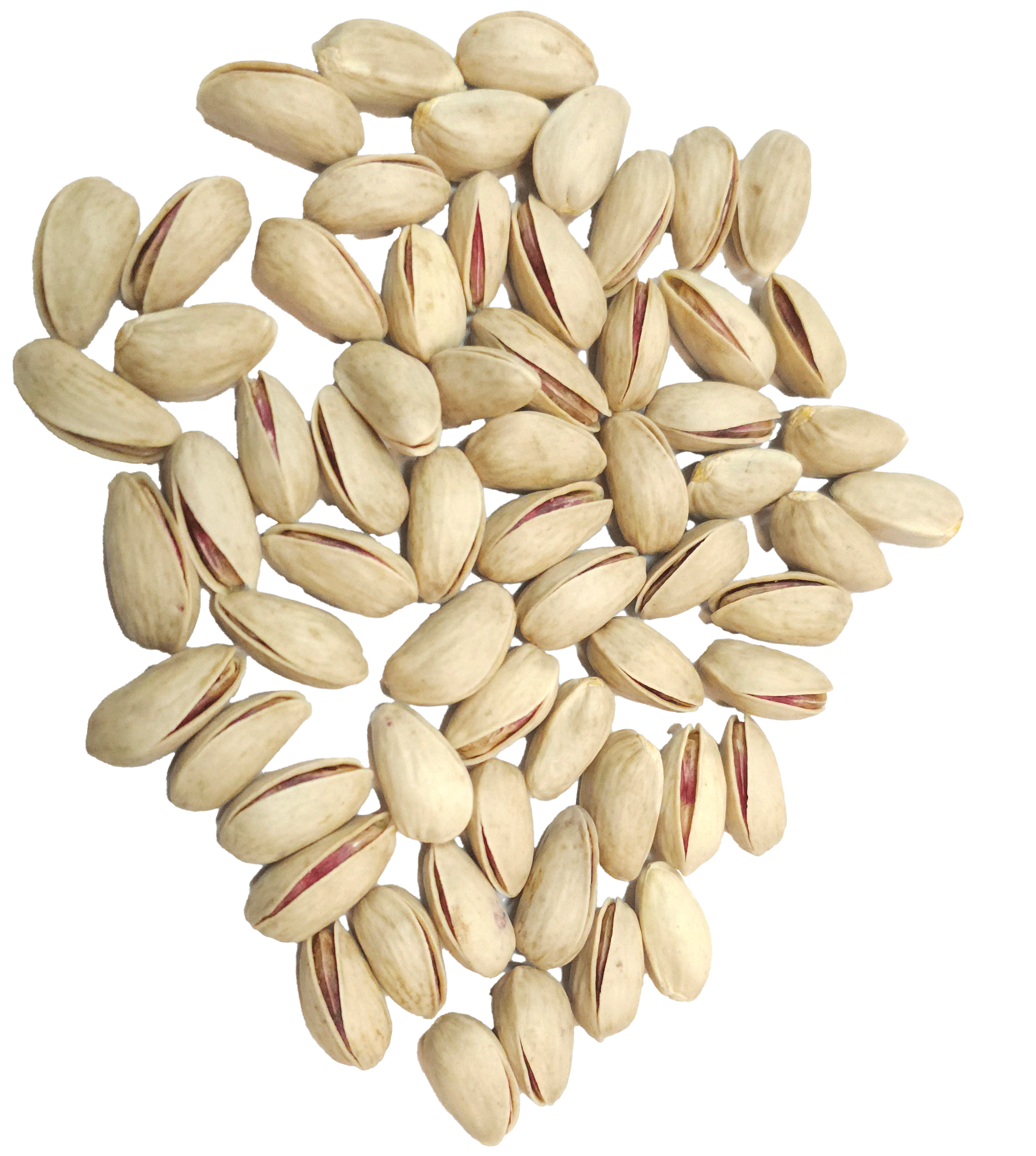 What NITC counts as Tight Spilit